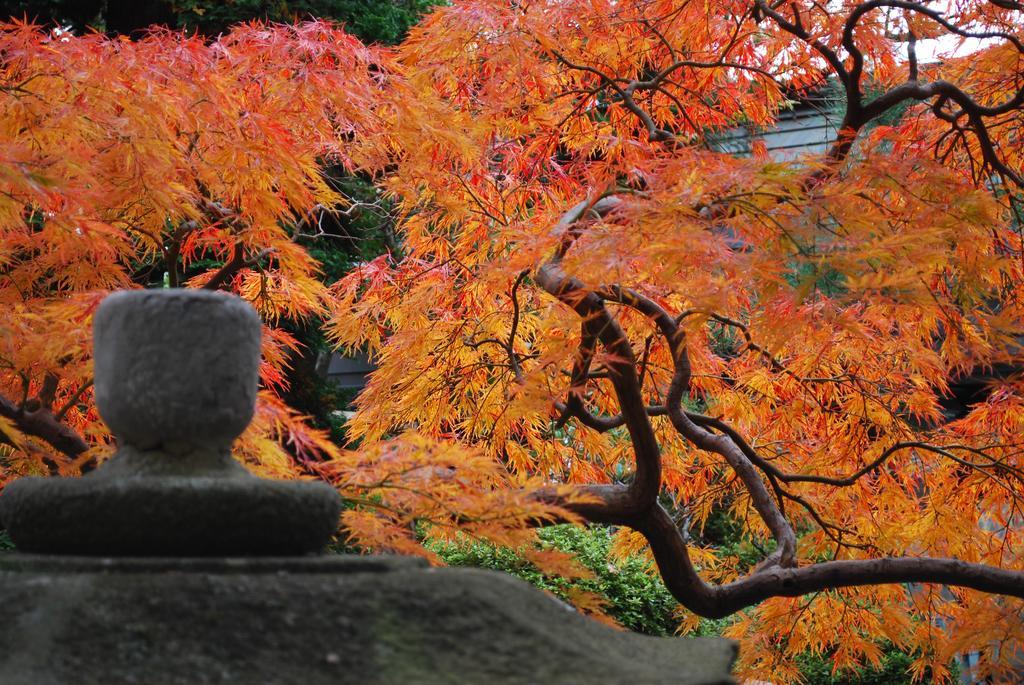 Nishiki-No-Yu Jimotoya Hotel Matsumoto Buitenkant foto